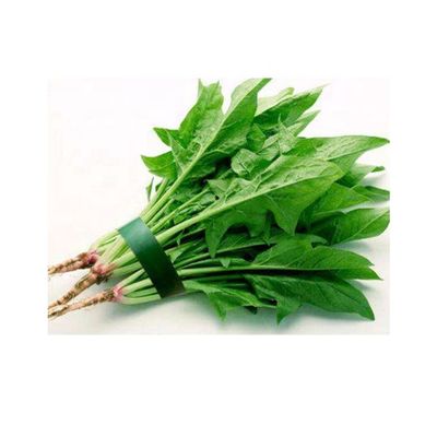 Horizontale Plastikfilm-frische Frucht-Gemüse-Verpackungsmaschine